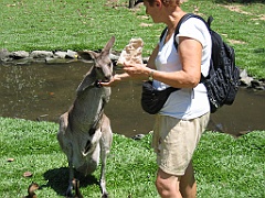 CairnsTC296 Wildlife Habitat